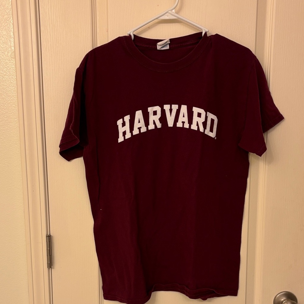 Gildan Heavy Cotton Maroon T-Shirt